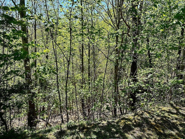 Listing photo 3 for LOT18 Mountain Dreams Way, Sevierville TN 37862