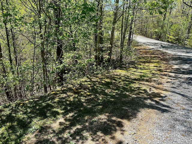 Listing photo 2 for LOT18 Mountain Dreams Way, Sevierville TN 37862