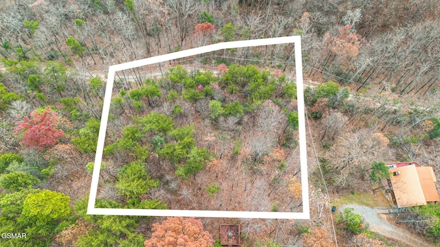 Listing photo 3 for TBD Blossom Hollow Way, Sevierville TN 37876