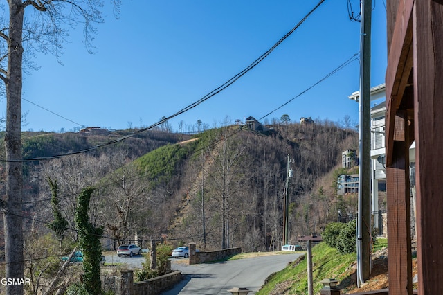 145 W Holly Ridge Rd, Gatlinburg, TN 37738 - view of mountain feature with a wooded view