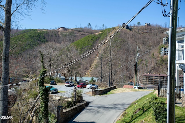 145 W Holly Ridge Rd, Gatlinburg, TN 37738 - view of road with a forest view