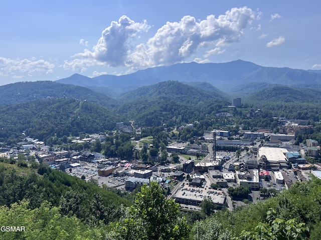 145 W Holly Ridge Rd, Gatlinburg, TN 37738 - photo 4