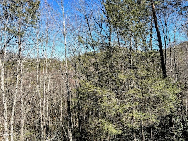 view of landscape with a wooded view