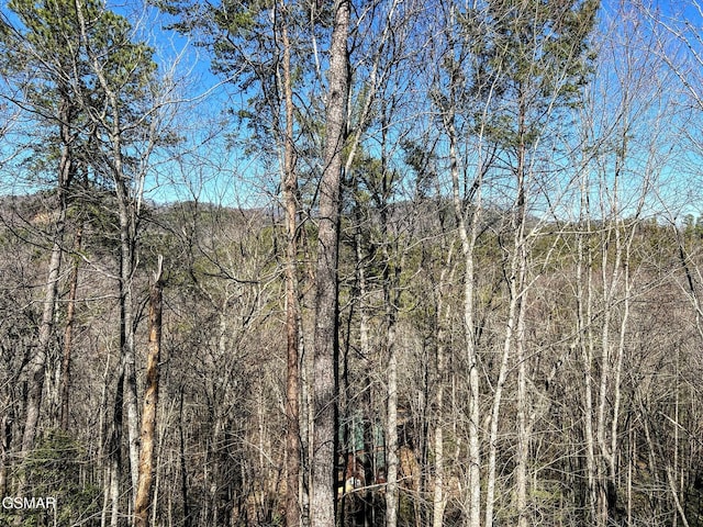 view of landscape with a forest view