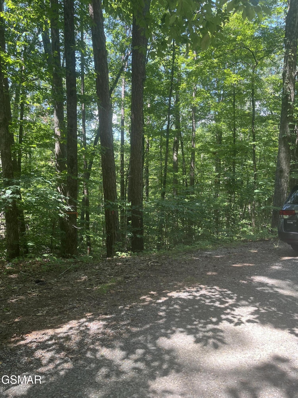 LOT10 Windswept Cir, Newport, TN 37821 - photo 3