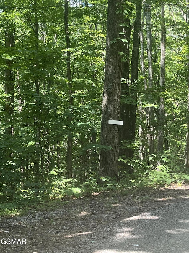 LOT10 Windswept Cir, Newport, TN 37821 - photo 1
