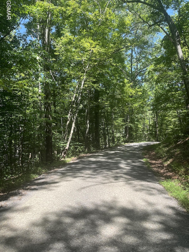LOT10 Windswept Cir, Newport, TN 37821 - photo 2