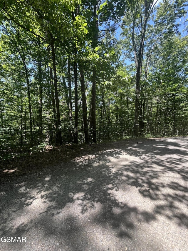 LOT10 Windswept Cir, Newport, TN 37821 - photo 4