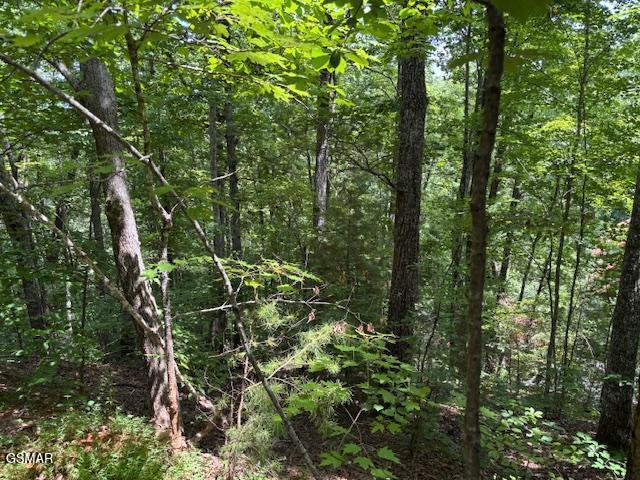 LOT1302 Balsam Cir, Sevierville, TN 37876 - photo 2