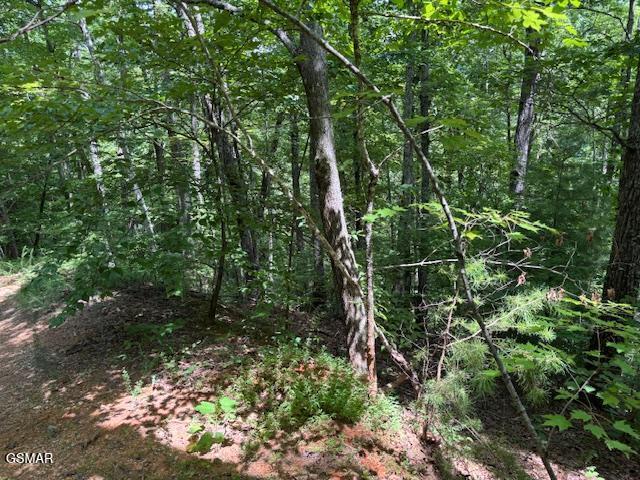 LOT1302 Balsam Cir, Sevierville, TN 37876 - photo 3