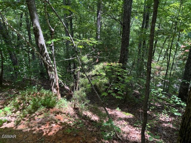 LOT1302 Balsam Cir, Sevierville, TN 37876 - photo 1
