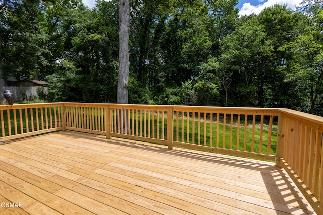 2318 Black Bear Rd, Knoxville, TN 37923 - photo 16