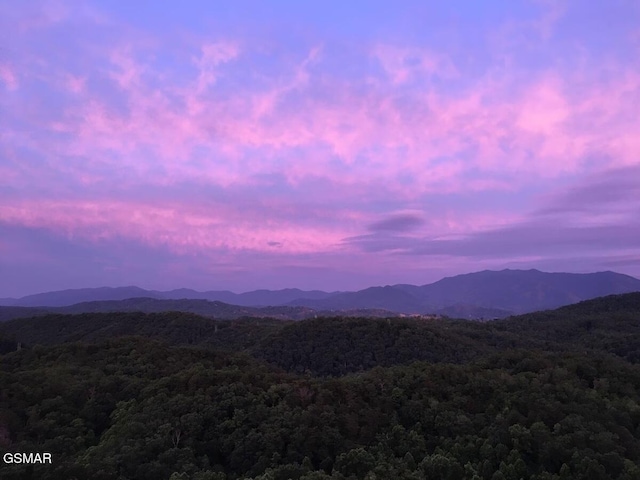 4610 High Vista Way, Pigeon Forge, TN 37863 - view of mountain backdrop featuring a forest