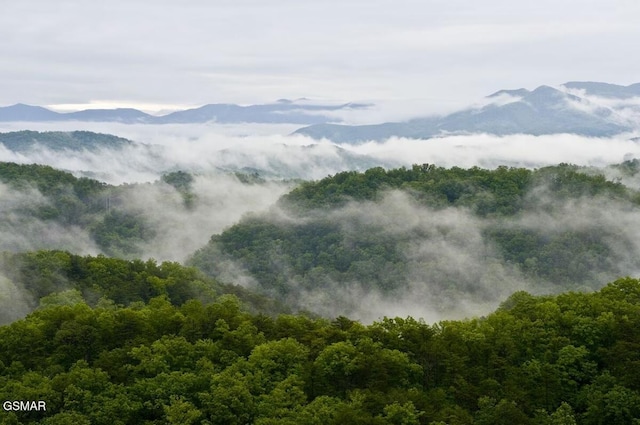 4610 High Vista Way, Pigeon Forge, TN 37863 - mountain view with a heavily wooded area