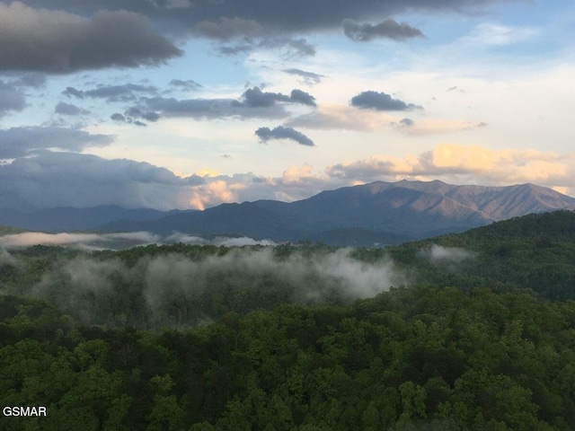 4610 High Vista Way, Pigeon Forge, TN 37863 - mountain view with a heavily wooded area