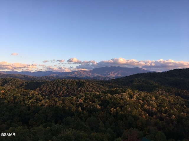 4610 High Vista Way, Pigeon Forge, TN 37863 - view of mountain background featuring a forest