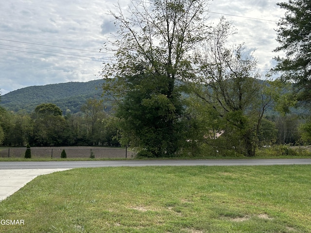 view of mountain feature