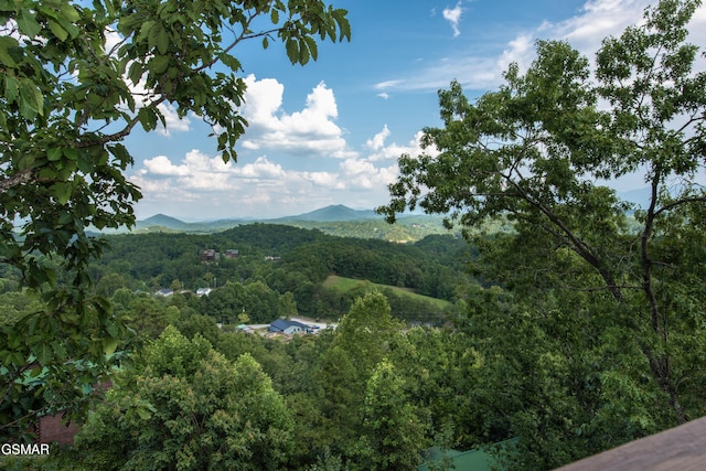 view of mountain feature