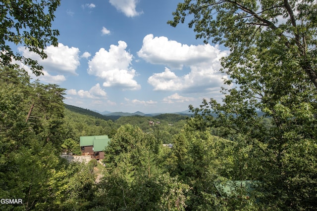 view of mountain feature