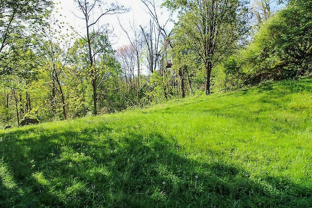 view of landscape