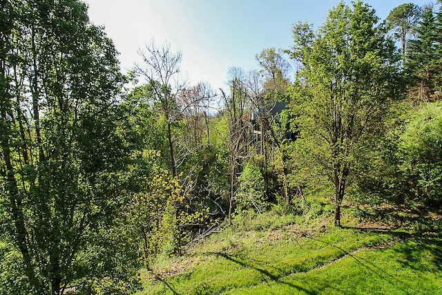 view of landscape