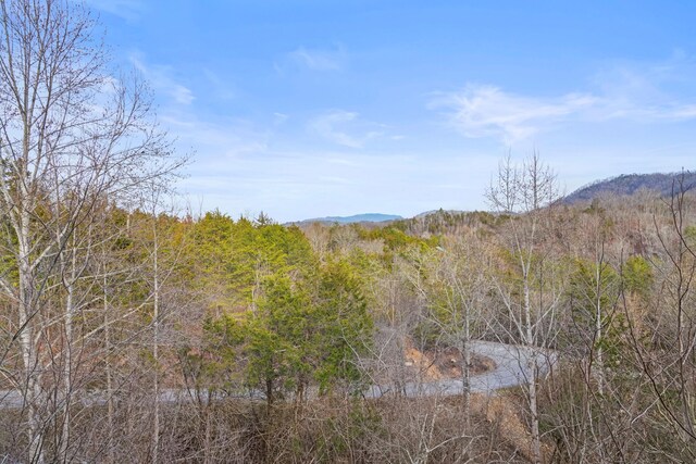 1706 Springer Rd, Sevierville, TN 37862 - view of nature featuring a wooded view and a mountain view