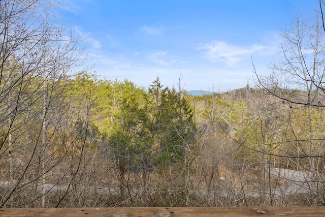 1706 Springer Rd, Sevierville, TN 37862 - view of local wilderness featuring a forest view