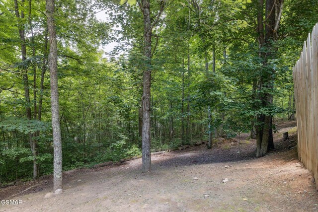 1614 Dogwood St, Sevierville, TN 37876 - photo 23