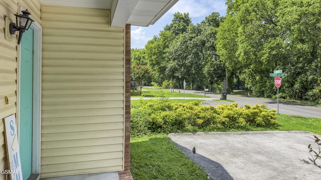 1733 Snapp Rd, Sevierville, TN 37862 - view of yard with view of wooded area