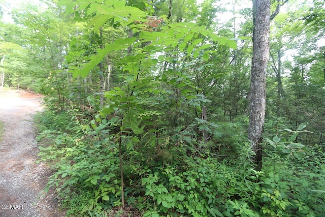 PARCEL088 Amarlee Way, Sevierville, TN 37876 - photo 8