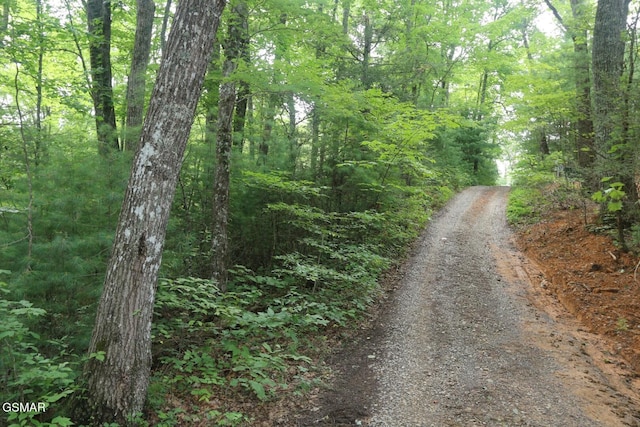 PARCEL088 Amarlee Way, Sevierville, TN 37876 - photo 1