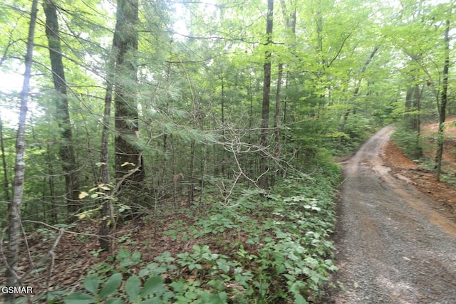 PARCEL088 Amarlee Way, Sevierville, TN 37876 - photo 3