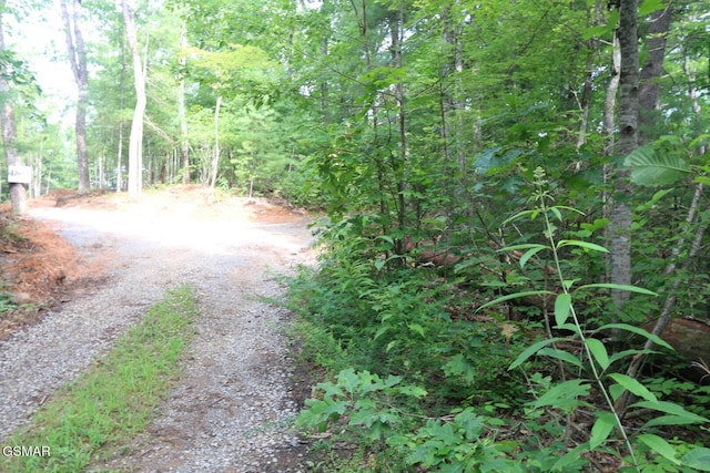 PARCEL088 Amarlee Way, Sevierville, TN 37876 - photo 9