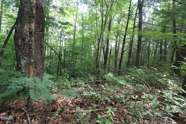 PARCEL088 Amarlee Way, Sevierville, TN 37876 - photo 10