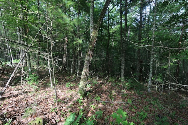 PARCEL088 Amarlee Way, Sevierville, TN 37876 - photo 16