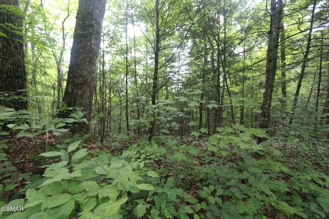 PARCEL088 Amarlee Way, Sevierville, TN 37876 - photo 2