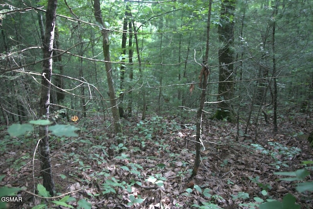 PARCEL088 Amarlee Way, Sevierville, TN 37876 - photo 4
