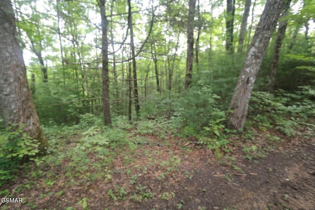 PARCEL088 Amarlee Way, Sevierville, TN 37876 - photo 5