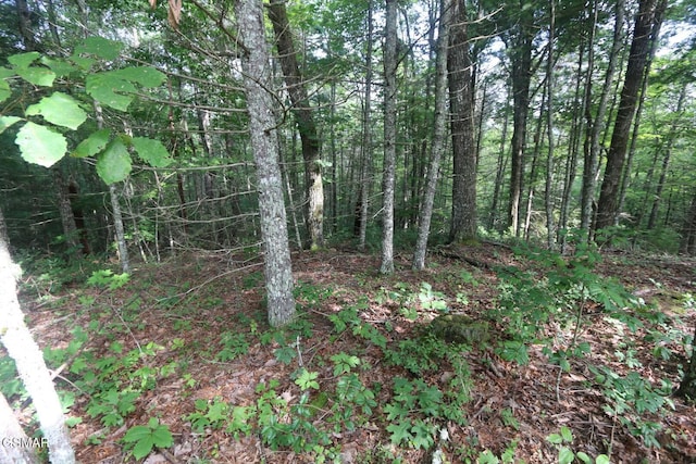 PARCEL088 Amarlee Way, Sevierville, TN 37876 - photo 15