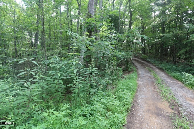 PARCEL088 Amarlee Way, Sevierville, TN 37876 - photo 7
