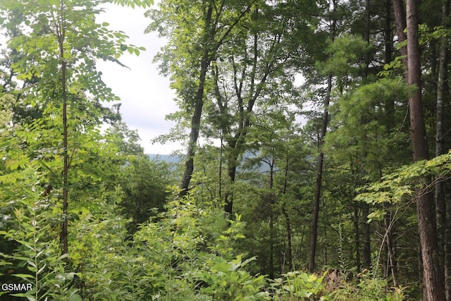 PARCEL088 Amarlee Way, Sevierville, TN 37876 - photo 14