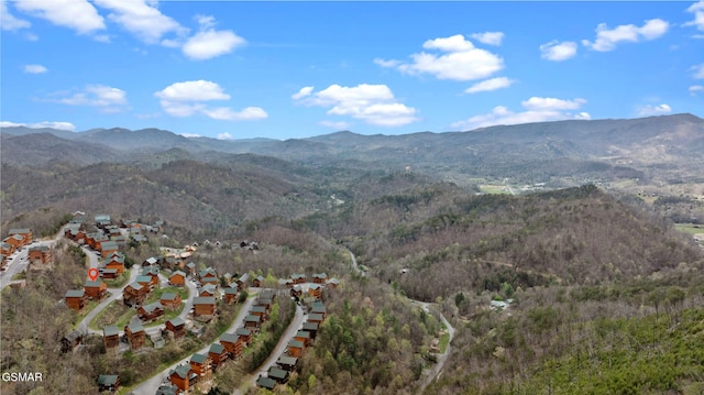 property view of mountains