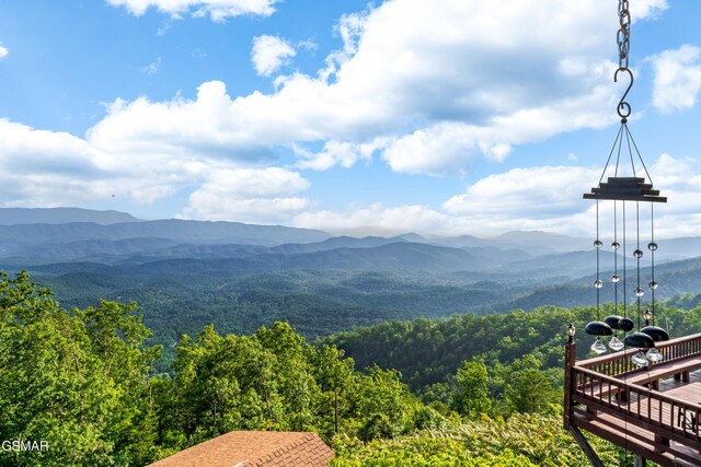 1121 Hollyberry Ct, Sevierville, TN 37876 - photo 7