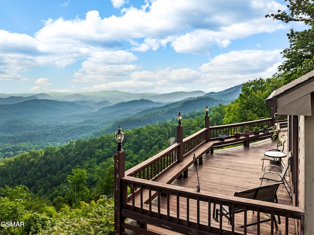 1121 Hollyberry Ct, Sevierville, TN 37876 - photo 6