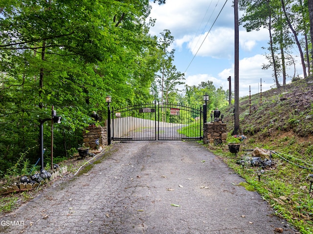 1121 Hollyberry Ct, Sevierville, TN 37876 - photo 70