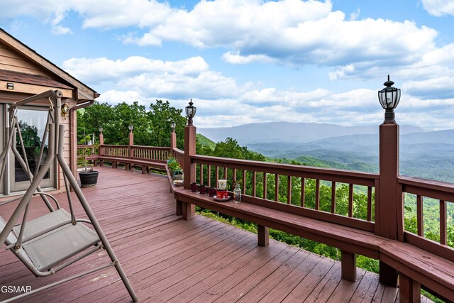 1121 Hollyberry Ct, Sevierville, TN 37876 - photo 65