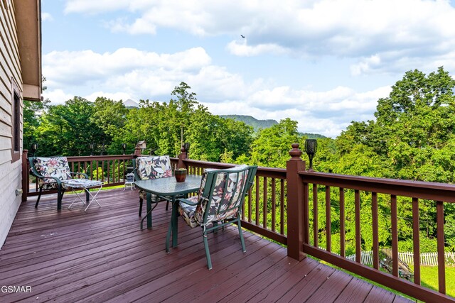 1121 Hollyberry Ct, Sevierville, TN 37876 - photo 56