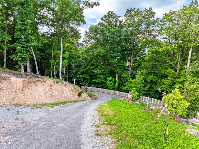 1121 Hollyberry Ct, Sevierville, TN 37876 - photo 69