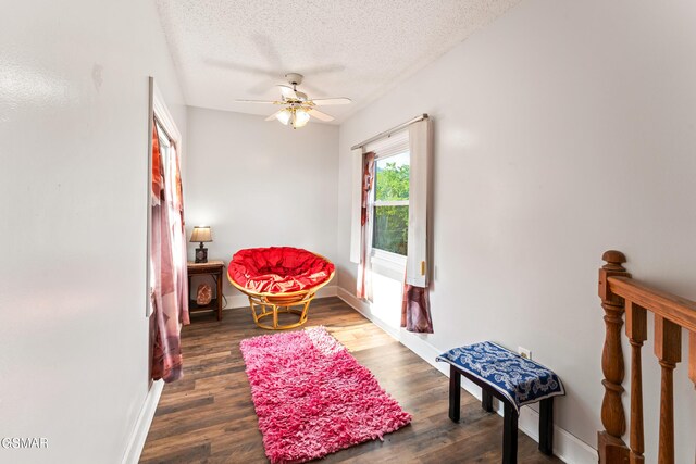 1121 Hollyberry Ct, Sevierville, TN 37876 - photo 46