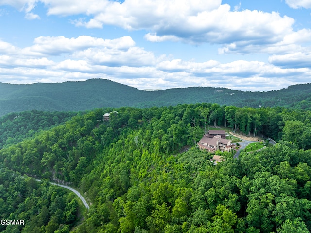 1121 Hollyberry Ct, Sevierville, TN 37876 - photo 75